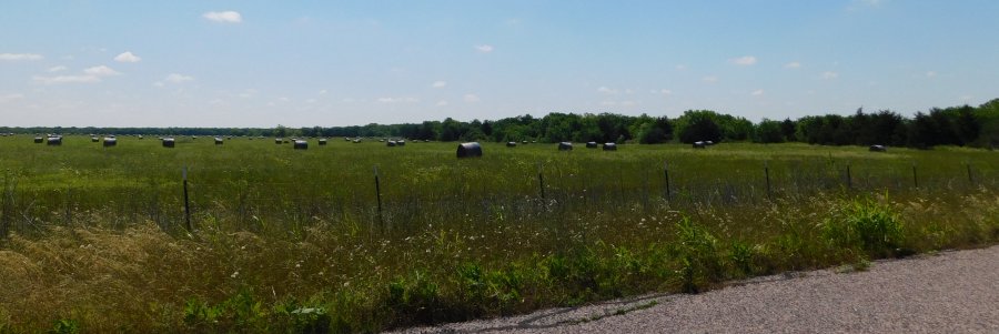 John W. Miles farm near Josephine, Texas
