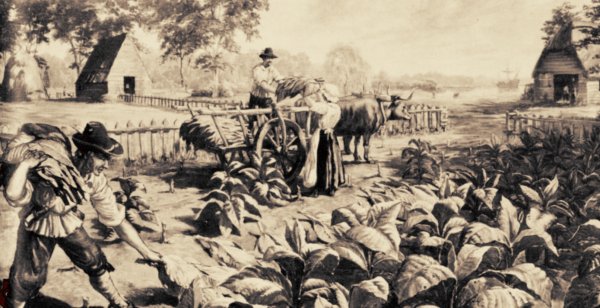 Maryland tobacco farmers
