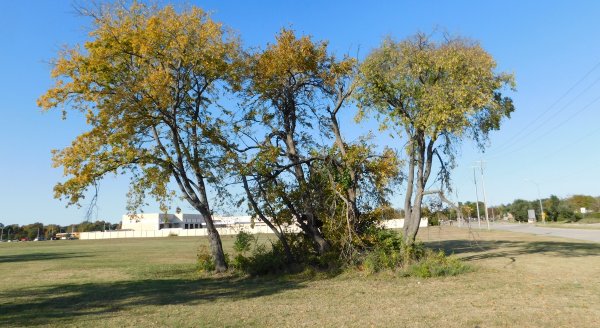 Site of Breckinridge